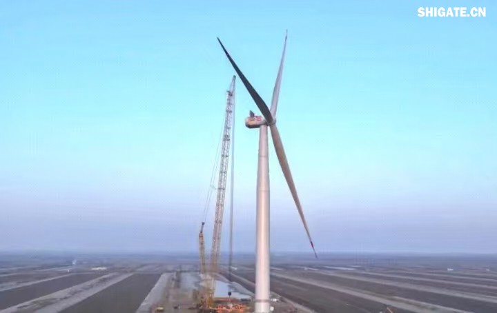 1月11日，全球最大功率等級的漂浮式風電機組——中國中車“啟航號”在山東東營風電裝備測試認證創(chuàng)新基地吊裝成功，標志著我國在海上超大型風機的探索邁出重要一步。該項目風電機組的配套塔筒是全球直徑最大、重量最重的塔筒型號，所用鋼板由河鋼集團舞鋼公司獨家提供。  微信圖片_20250220083217.jpg  舞鋼公司深入貫徹集團要求，以客戶需求為導向，大力開展技術營銷，不斷優(yōu)化營銷方案，通過提供“一攬子”解決方案，滿足高端客戶對高品質(zhì)產(chǎn)品和未來發(fā)展的需求，加速由生產(chǎn)型向“制造+服務”型企業(yè)轉(zhuǎn)變。該項目對產(chǎn)品抗沖擊性能及表面質(zhì)量有著極為嚴苛的要求，且交貨期較短，生產(chǎn)難度相當大。為確保合同順利交付，舞鋼公司產(chǎn)線各單位協(xié)同聯(lián)動，強化工藝和生產(chǎn)過程控制，攻克了高強度與高延伸率匹配、低溫沖擊韌性匹配等一系列技術難題，確保了產(chǎn)品各項指標全部滿足客戶要求，并按期交付客戶。  微信圖片_20250220083224.jpg  “啟航號”20MW漂浮式海上風電塔筒是專門為20MW及以上海上漂浮式風機提供系統(tǒng)解決方案而設計的，是全球最大功率漂浮式風電機組的配套塔筒，總高度為141.15米，最大直徑12米，重量達到了1576噸。